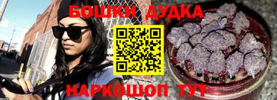 индика Изобильный